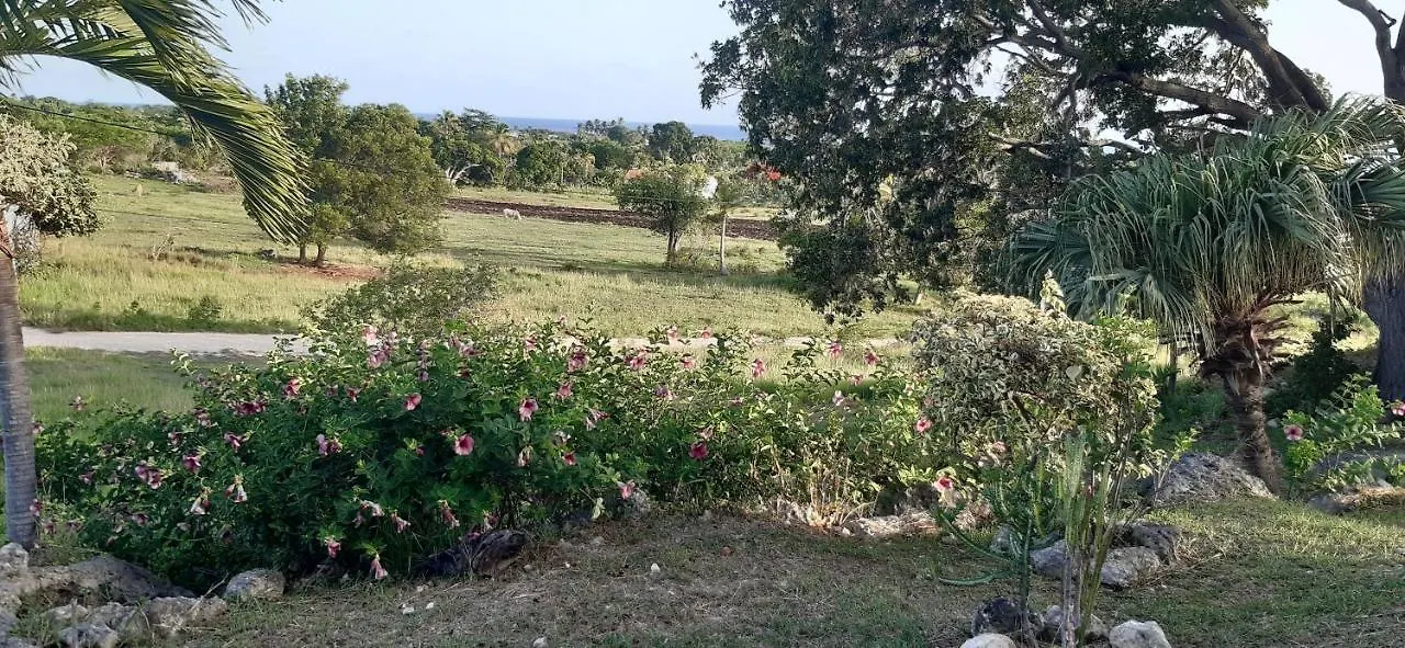 Résidence Kaya - Location meublée tout confort à Marie-Galante Grand-Bourg